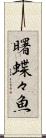 曙蝶々魚 Scroll