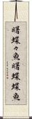 曙蝶々魚 Scroll