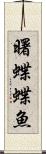 曙蝶蝶魚 Scroll
