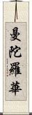 曼陀羅華 Scroll