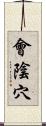 會陰穴 Scroll