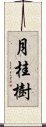 月桂樹 Scroll