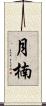 月楠 Scroll