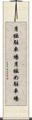 月極駐車場 Scroll