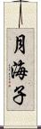 月海子 Scroll