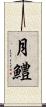 月鱧 Scroll