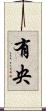 有央 Scroll