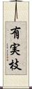 有実枝 Scroll