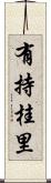 有持桂里 Scroll