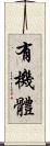 有機體 Scroll