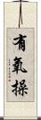 有氧操 Scroll