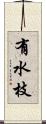 有水枝 Scroll