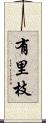有里枝 Scroll