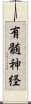 有髄神経 Scroll
