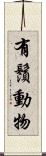 有鬚動物 Scroll