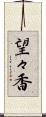望々香 Scroll