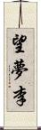 望夢李 Scroll