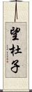 望杜子 Scroll