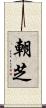 朝芝 Scroll