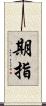 期指 Scroll