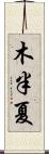 木半夏 Scroll