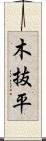 木抜平 Scroll