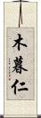 木暮仁 Scroll
