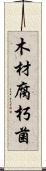 木材腐朽菌 Scroll