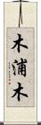 木浦木 Scroll
