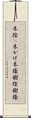 木陰(P);木かげ;木蔭;樹陰;樹蔭 Scroll