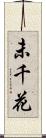 未千花 Scroll