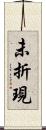 未折現 Scroll