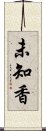 未知香 Scroll