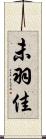 未羽佳 Scroll
