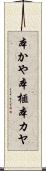 本かや Scroll