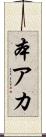 本アカ Scroll