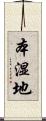 本湿地 Scroll
