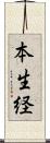 本生経 Scroll