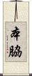 本脇 Scroll