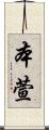 本萱 Scroll