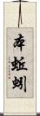 本蚯蚓 Scroll