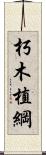 朽木植綱 Scroll