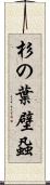 杉の葉壁蝨 Scroll