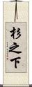 杉之下 Scroll