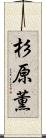 杉原薫 Scroll