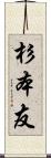 杉本友 Scroll
