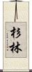 杉林 Scroll