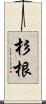 杉根 Scroll