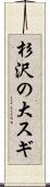 杉沢の大スギ Scroll