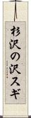 杉沢の沢スギ Scroll